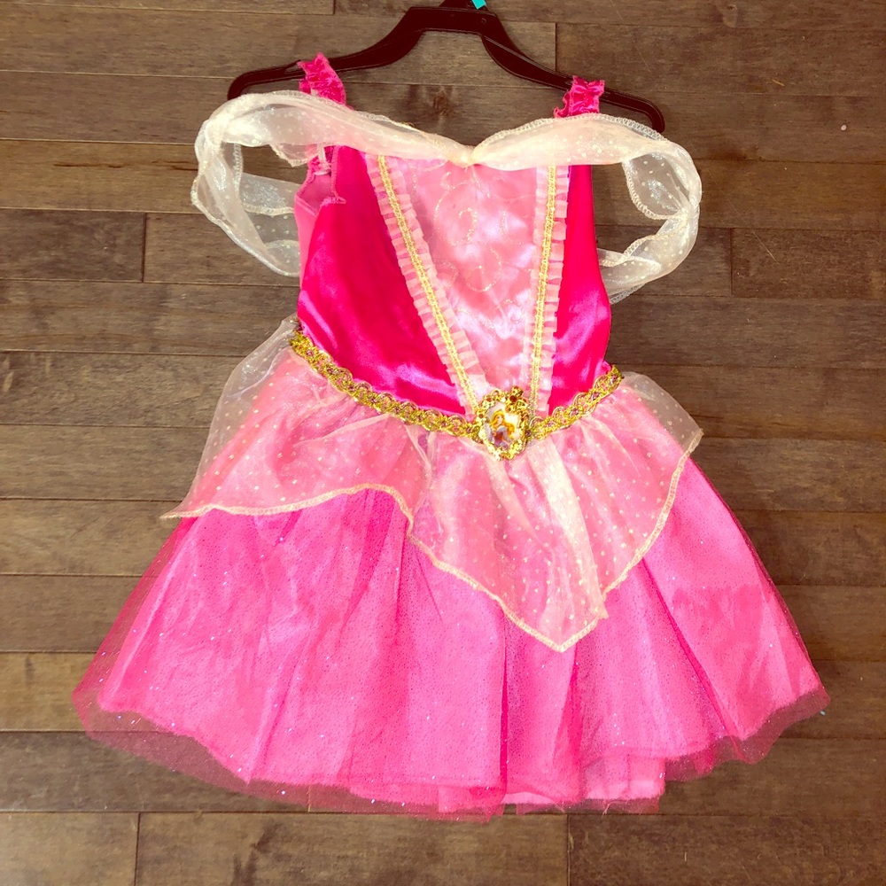 Princess Aurora Costume Dress